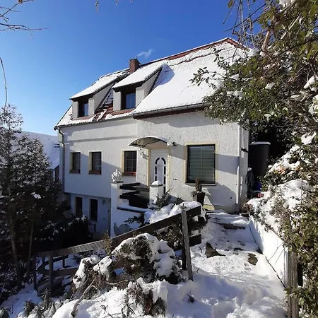 Elbsommer Am Weinberg Ii Meissen
