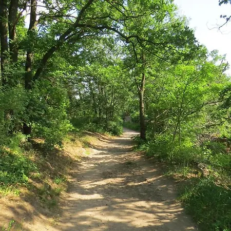 Elbsommer Am Weinberg Ii * Meißen