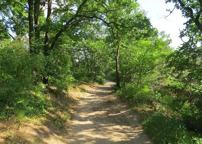 Elbsommer Am Weinberg Ii * Meißen